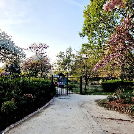 Stylish Near Paris - 850m To Subway Rer A - Netflix T1-4p